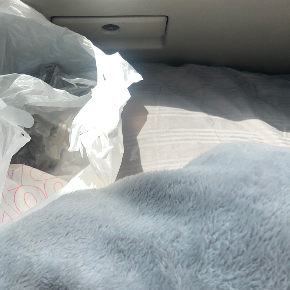 Meet your Posher, Rose